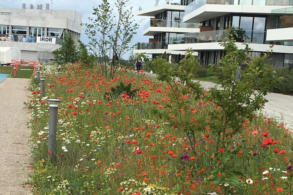 Ferienwohnung Bo Med Stil Og Udsigt Til Aarhus Lystbadehavn Exterior foto